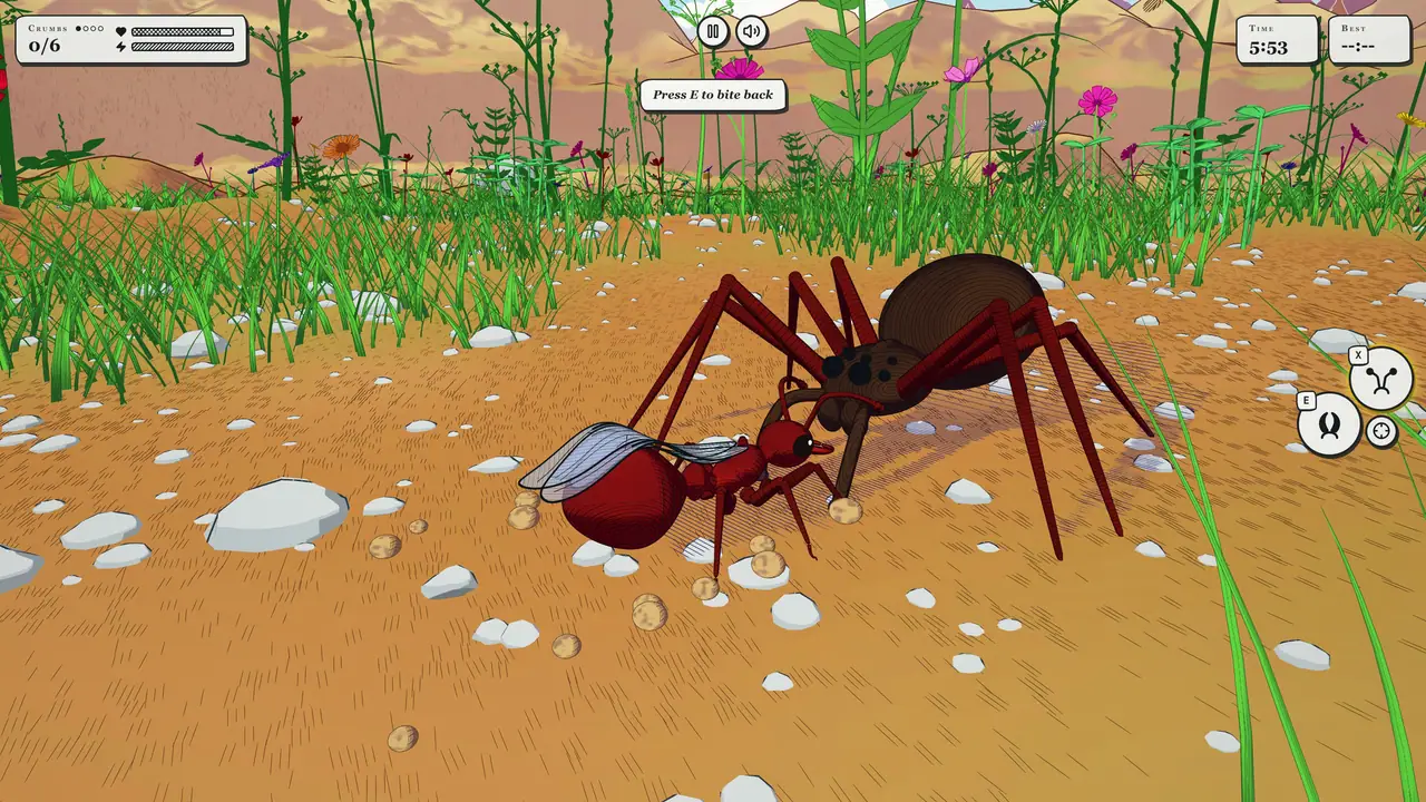 A red ant fights a big spider on the sandy ground.